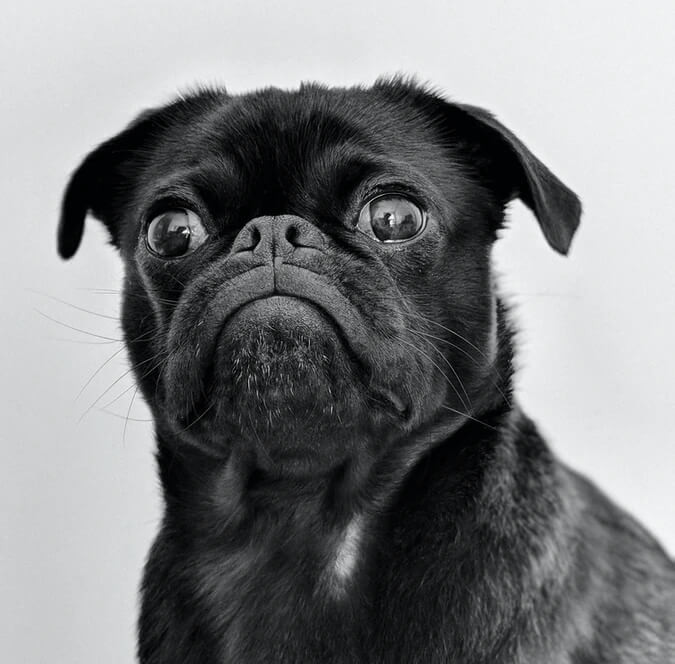 A message to our customers about our Facebook page