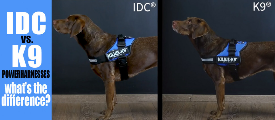 Differences Between The K9® & IDC® Powerharness