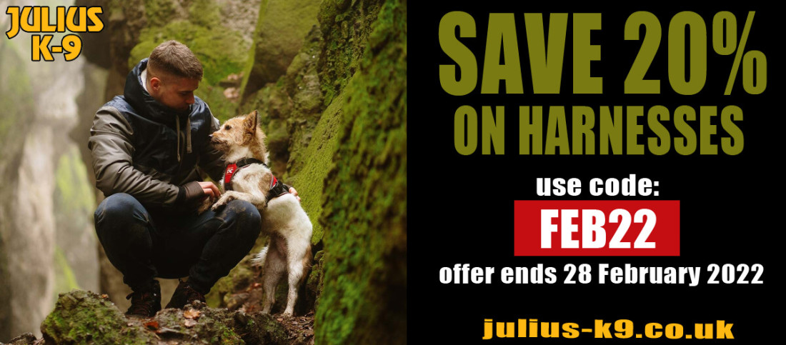 Promo Code Offer: 20% Off Selected Dog Harnesses