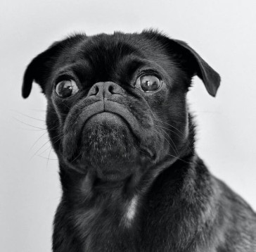 A message to our customers about our Facebook page