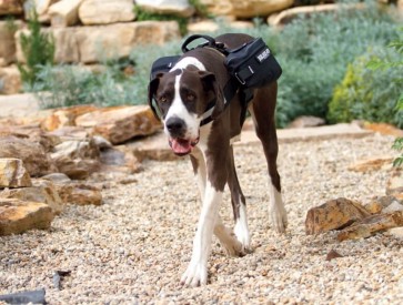 How to fit the JULIUS K9® Large Saddle Bag to dog harnesses