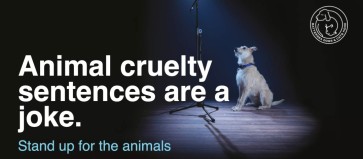 Battersea Campaign for Tougher Sentences for Animal Cruelty