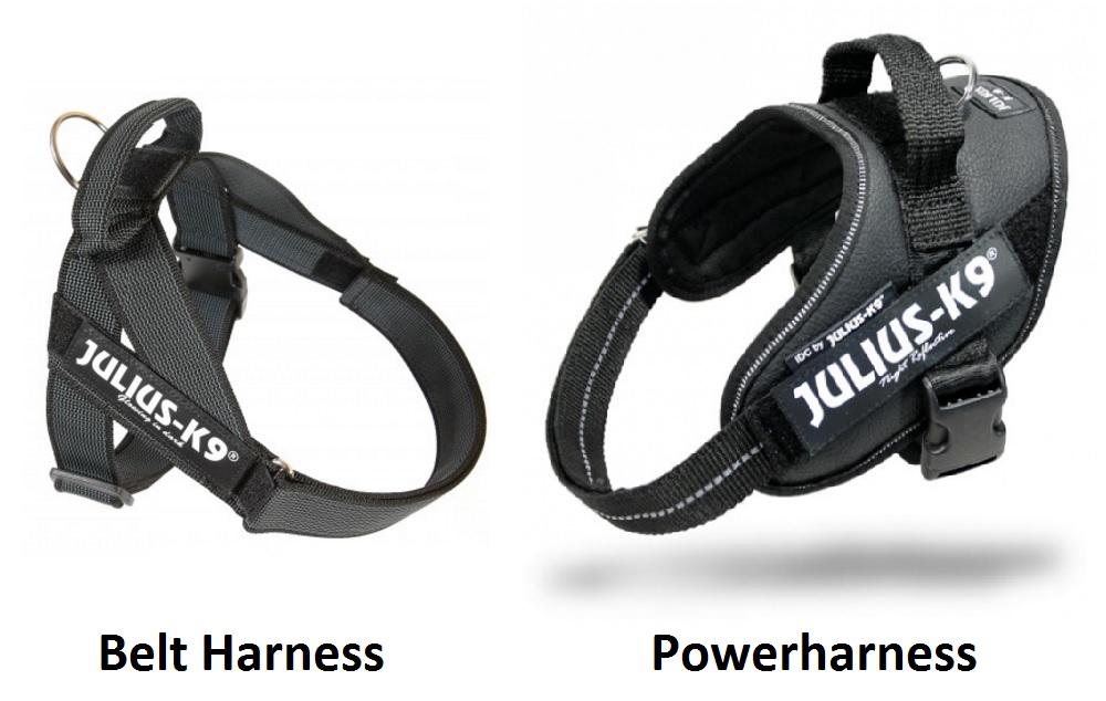powerharness and belt harness comparison